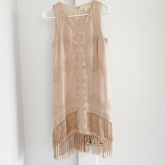 Urban Outfitters Pink Embroidered Fringe Sleeveless Tassel Mini Dress Small - Picture 1 of 9